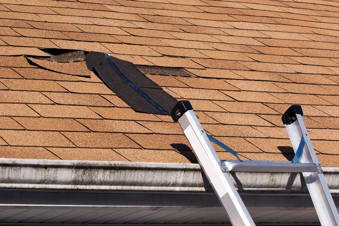 Croydon Roofer Tips: The 4 Signs that Tell You It's time to Reroof